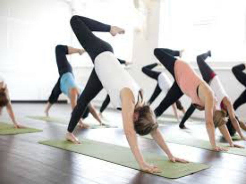 Total Body Fitness